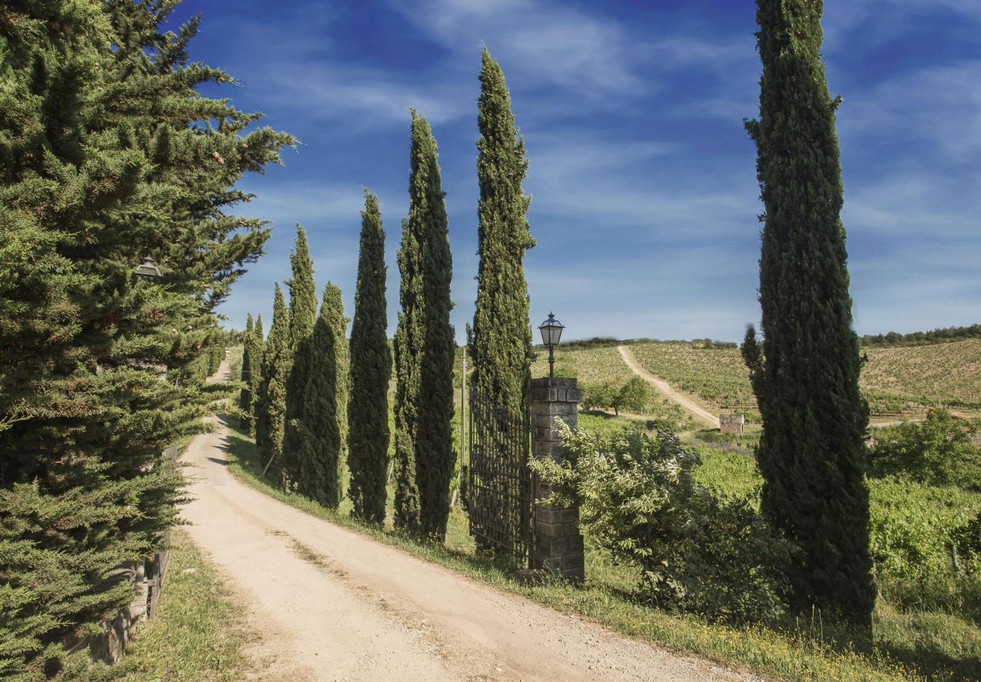 Relais Santa Cristina Pension Radda in Chianti Buitenkant foto