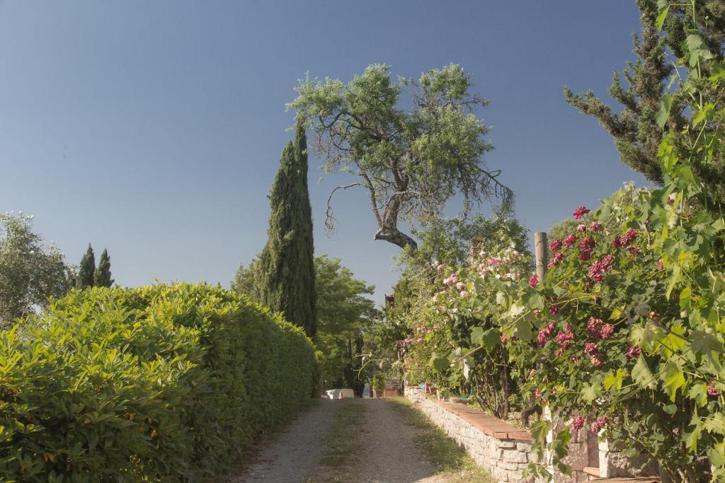Relais Santa Cristina Pension Radda in Chianti Buitenkant foto