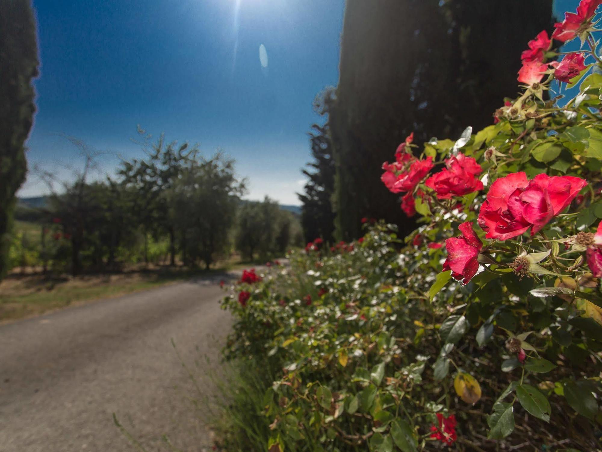 Relais Santa Cristina Pension Radda in Chianti Buitenkant foto