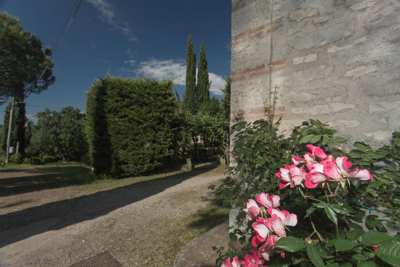 Relais Santa Cristina Pension Radda in Chianti Buitenkant foto